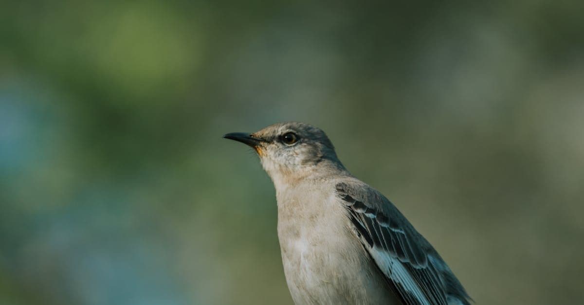 Immobilienmarkt 2026: Selektive Erholung in DACH