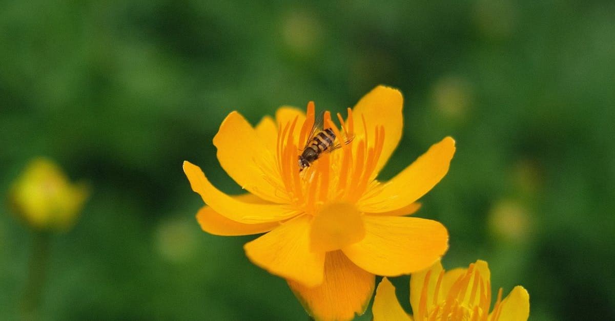 St. Gallen: Wohnungsmarkt zieht institutionelle Investoren an