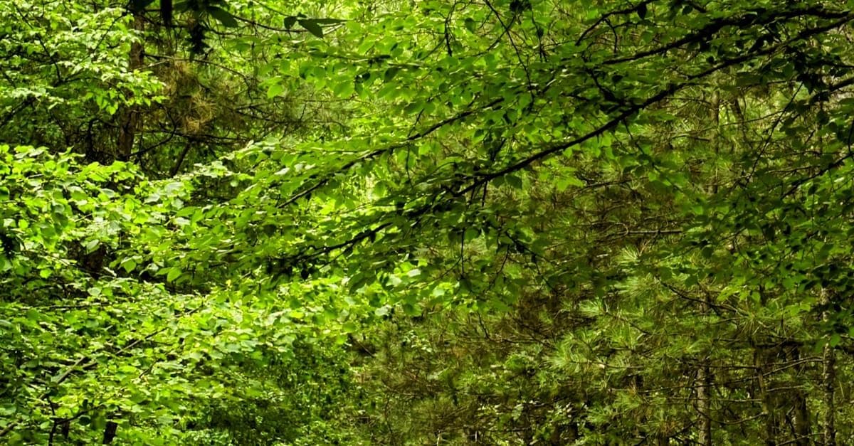 PropTech-Talente: Wer fehlt, verliert den Anschluss