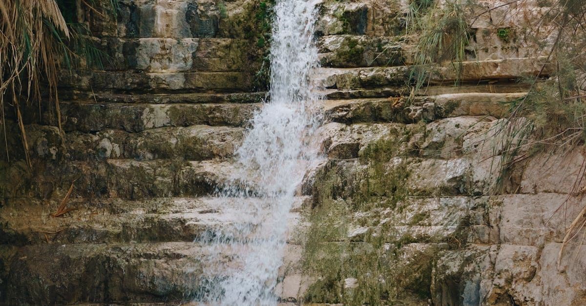 Sontowski & Partner: Tradition trifft PropTech