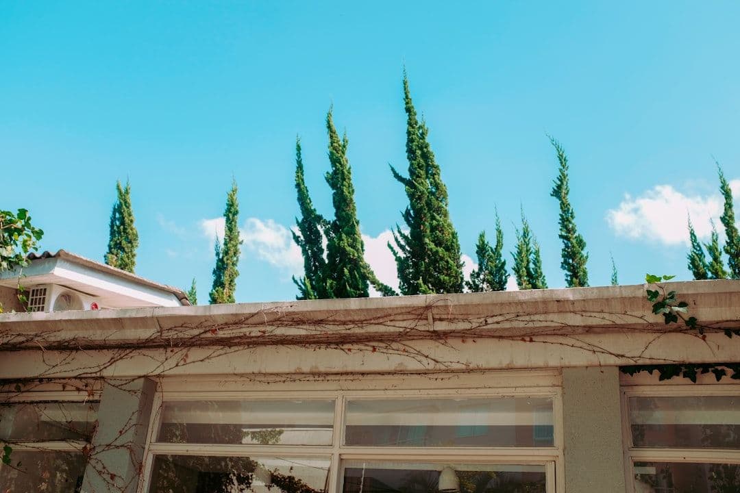 KI und PropTech transformieren Immobilienverwaltung