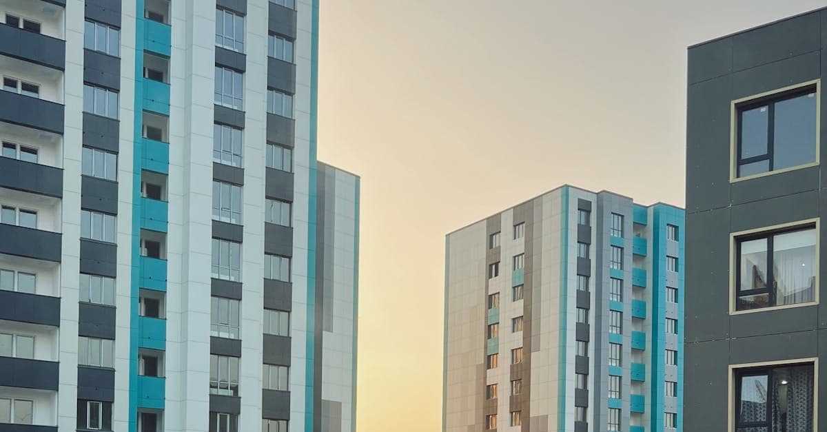 Zürichs PropTech-Pionier mit KI an Bord