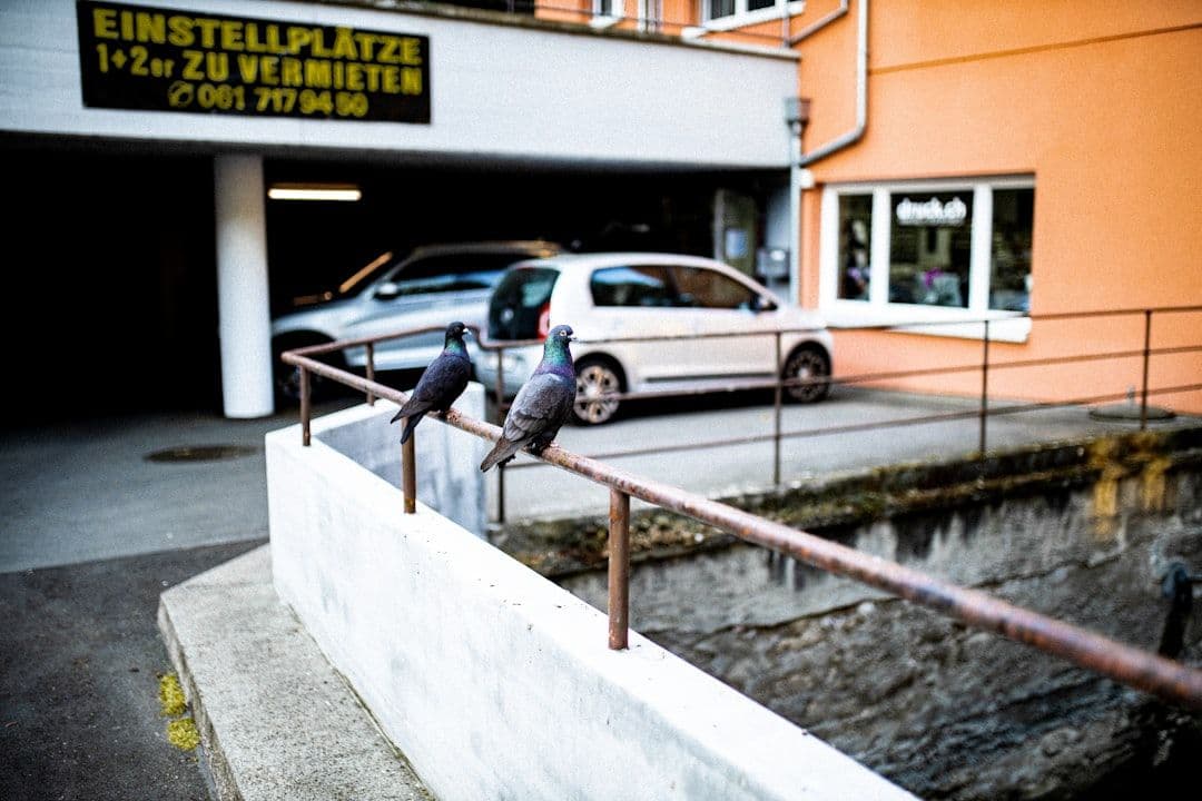 CSRD 2026: Immobilienbesitzer im ESG-Stress