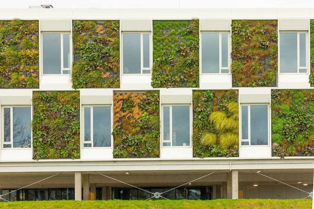 Gebäudebegrünung wird 2026 zum ESG-Muss