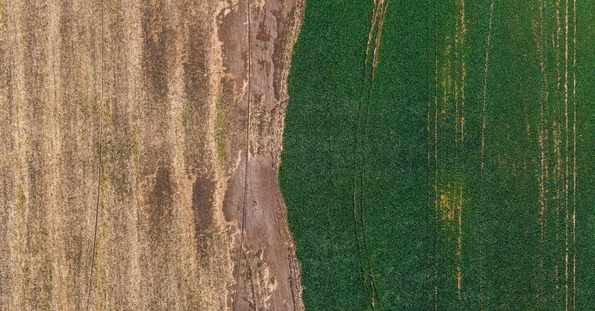 Seqana: Satelliten-KI revolutioniert Bodenanalysen für Immobilien