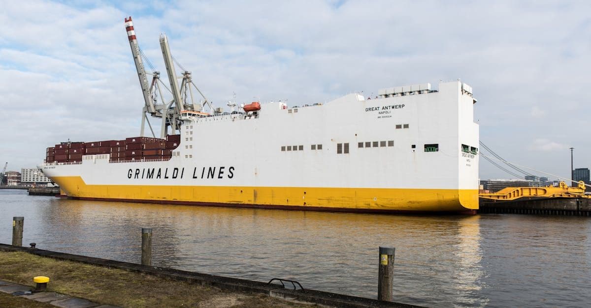 Wie Wiener KI das Darknet knackte